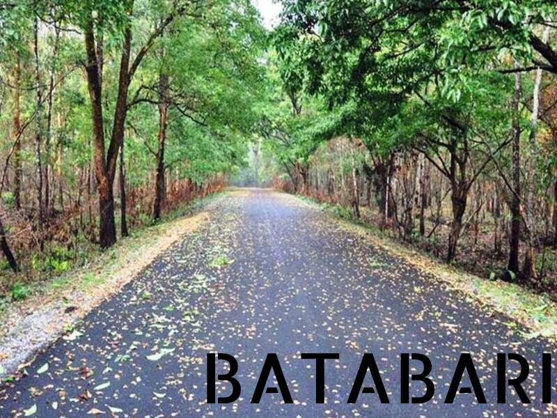 BATABARI (3)