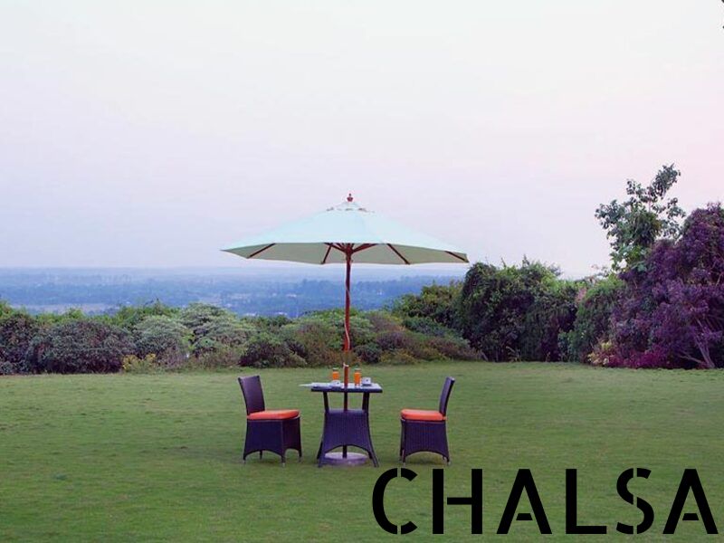 CHALSA (2)