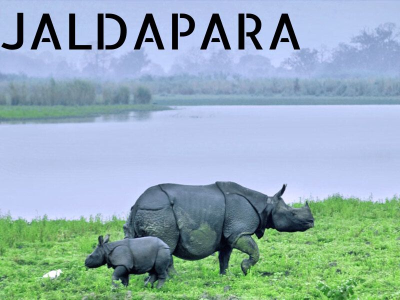 JALDAPARA (2)