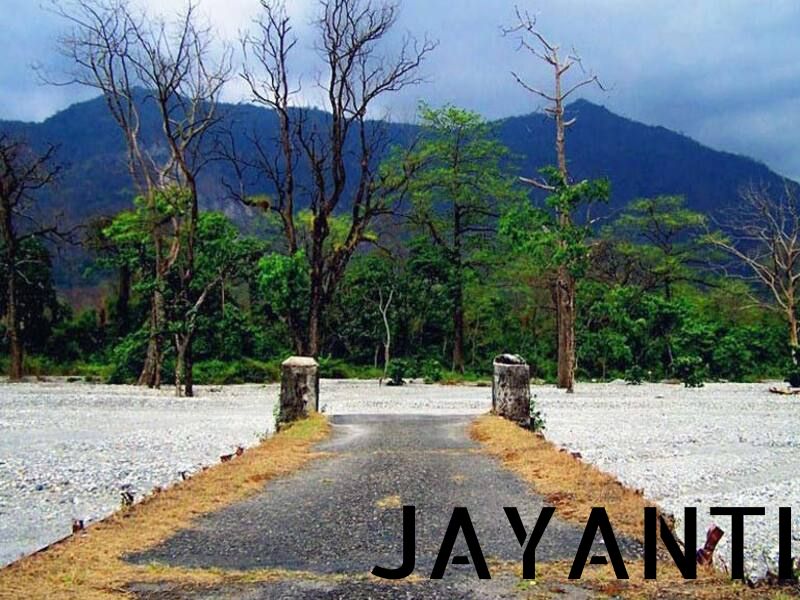 JAYANTI (2)