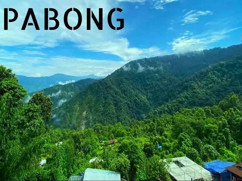 PABONG (2)
