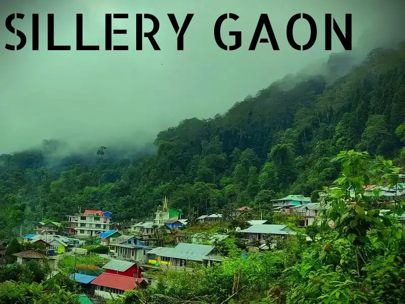 SILLERY GAON (1)